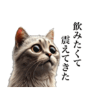 【猫】酒クズ専用（個別スタンプ：8）