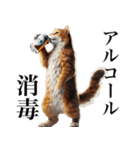【猫】酒クズ専用（個別スタンプ：30）
