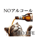 【猫】酒クズ専用（個別スタンプ：31）