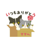 【動く】ハチワレコンビ♡お祝いするのん（個別スタンプ：17）