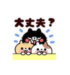 動く❤️猫まみれのおやじ君（個別スタンプ：15）