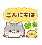 猫の日♡ねこねこにゃんこ（個別スタンプ：1）