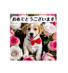 花束♡ワンちゃんお祝い、丁寧、年中使える（個別スタンプ：1）