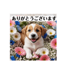 花束♡ワンちゃんお祝い、丁寧、年中使える（個別スタンプ：2）