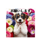 花束♡ワンちゃんお祝い、丁寧、年中使える（個別スタンプ：4）