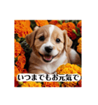 花束♡ワンちゃんお祝い、丁寧、年中使える（個別スタンプ：11）