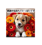 花束♡ワンちゃんお祝い、丁寧、年中使える（個別スタンプ：12）