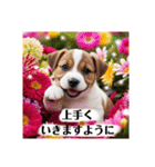 花束♡ワンちゃんお祝い、丁寧、年中使える（個別スタンプ：13）