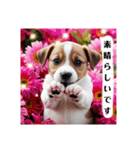 花束♡ワンちゃんお祝い、丁寧、年中使える（個別スタンプ：14）