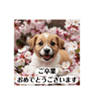 花束♡ワンちゃんお祝い、丁寧、年中使える（個別スタンプ：16）