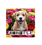 花束♡ワンちゃんお祝い、丁寧、年中使える（個別スタンプ：17）