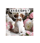 花束♡ワンちゃんお祝い、丁寧、年中使える（個別スタンプ：24）