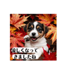 花束♡ワンちゃんお祝い、丁寧、年中使える（個別スタンプ：25）