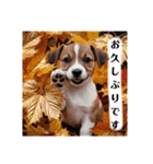 花束♡ワンちゃんお祝い、丁寧、年中使える（個別スタンプ：26）