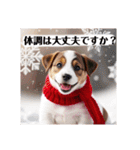 花束♡ワンちゃんお祝い、丁寧、年中使える（個別スタンプ：27）