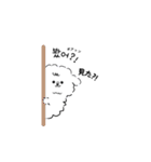 ビションフリーゼのどんちゃん（個別スタンプ：15）