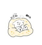 ビションフリーゼのどんちゃん（個別スタンプ：16）