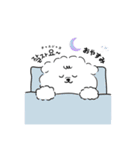 ビションフリーゼのどんちゃん（個別スタンプ：20）