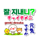 韓国語＋日本語 連絡用 大きな文字 発音付（個別スタンプ：4）