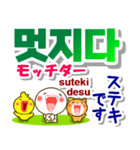 韓国語＋日本語 連絡用 大きな文字 発音付（個別スタンプ：8）