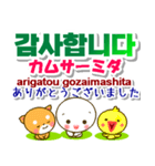 韓国語＋日本語 連絡用 大きな文字 発音付（個別スタンプ：11）