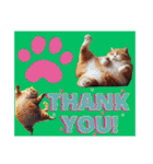 ありがとうThank you 猫 32セット（個別スタンプ：10）