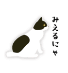 にゃんこ日和 文字あり（個別スタンプ：15）