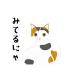 にゃんこ日和 文字あり（個別スタンプ：16）