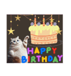 猫と誕生日（改）40個（個別スタンプ：6）