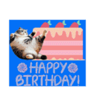 猫と誕生日（改）40個（個別スタンプ：18）