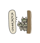 律儀なキジトラ猫（文字あり）（個別スタンプ：11）