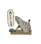 律儀なキジトラ猫（文字あり）（個別スタンプ：13）