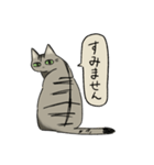 律儀なキジトラ猫（文字あり）（個別スタンプ：14）