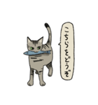 律儀なキジトラ猫（文字あり）（個別スタンプ：16）