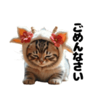 Cute Cats かわいい猫たち【挨拶 敬語】（個別スタンプ：29）