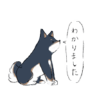 犬の気持ち♡柴犬・黒柴（個別スタンプ：7）