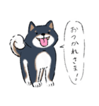 犬の気持ち♡柴犬・黒柴（個別スタンプ：9）