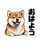 柴犬の日常挨拶スタンプ（個別スタンプ：1）