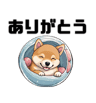 柴犬の日常挨拶スタンプ（個別スタンプ：4）