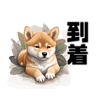 柴犬の日常挨拶スタンプ（個別スタンプ：5）