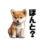 柴犬の日常挨拶スタンプ（個別スタンプ：10）