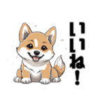 柴犬の日常挨拶スタンプ（個別スタンプ：12）