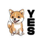 柴犬の日常挨拶スタンプ（個別スタンプ：14）