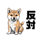 柴犬の日常挨拶スタンプ（個別スタンプ：17）