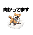 柴犬の日常挨拶スタンプ（個別スタンプ：18）