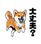 柴犬の日常挨拶スタンプ（個別スタンプ：20）