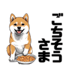 柴犬の日常挨拶スタンプ（個別スタンプ：21）