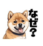 柴犬の日常挨拶スタンプ（個別スタンプ：23）