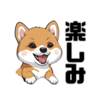 柴犬の日常挨拶スタンプ（個別スタンプ：25）