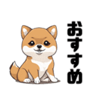 柴犬の日常挨拶スタンプ（個別スタンプ：26）